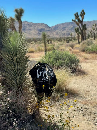 Wandering Westward